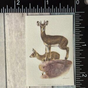 🌀10/$10🌀 Classic Hoofed Beasts Reusable Washi Sticker Decal